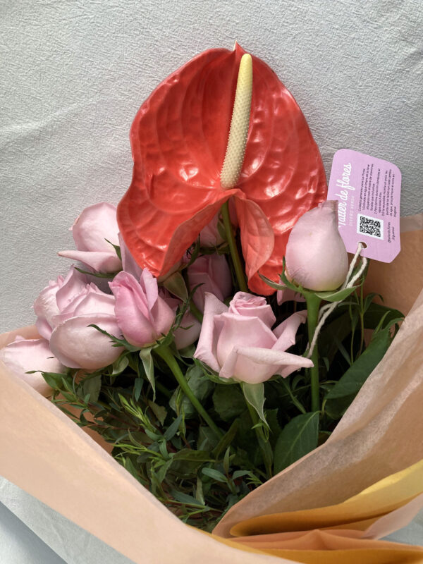 Le classic con Anturio - Bouquet de Rosas