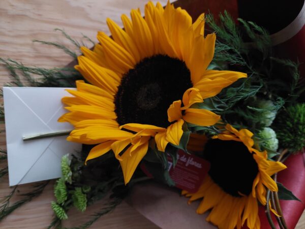 My sunshine (Mi sol)