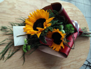 My sunshine (Mi sol)