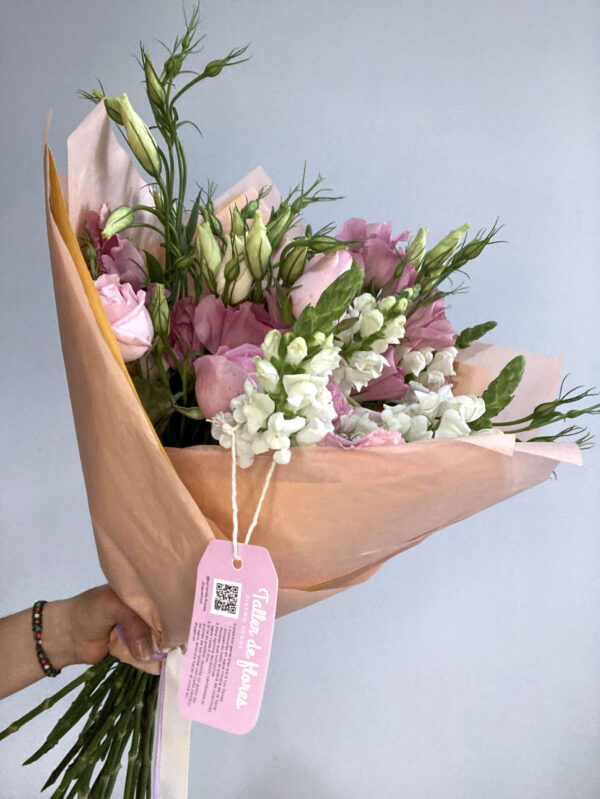 La vida en rosa (La vie en rose)