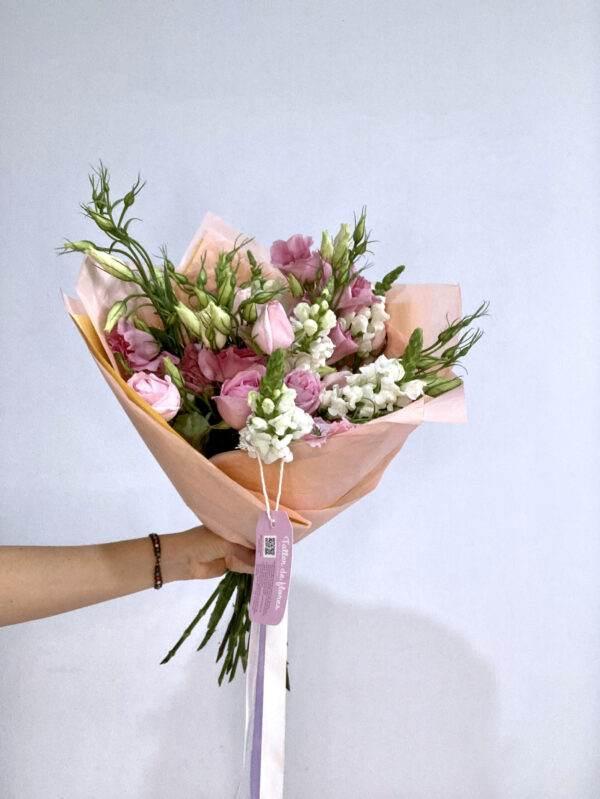 La vida en rosa (La vie en rose)