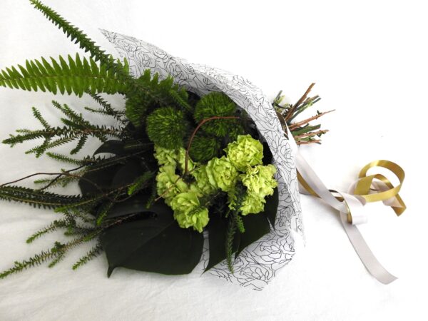 Hojas de hierba (Leaves of grass)