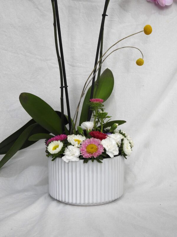 Jardín de orquídeas